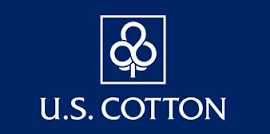Cotton Cotton Ball 300 By U S Cotton /GNP USA 