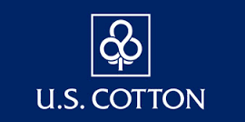 GNP Cotton Ball Sterile By U S Cotton /GNP USA 