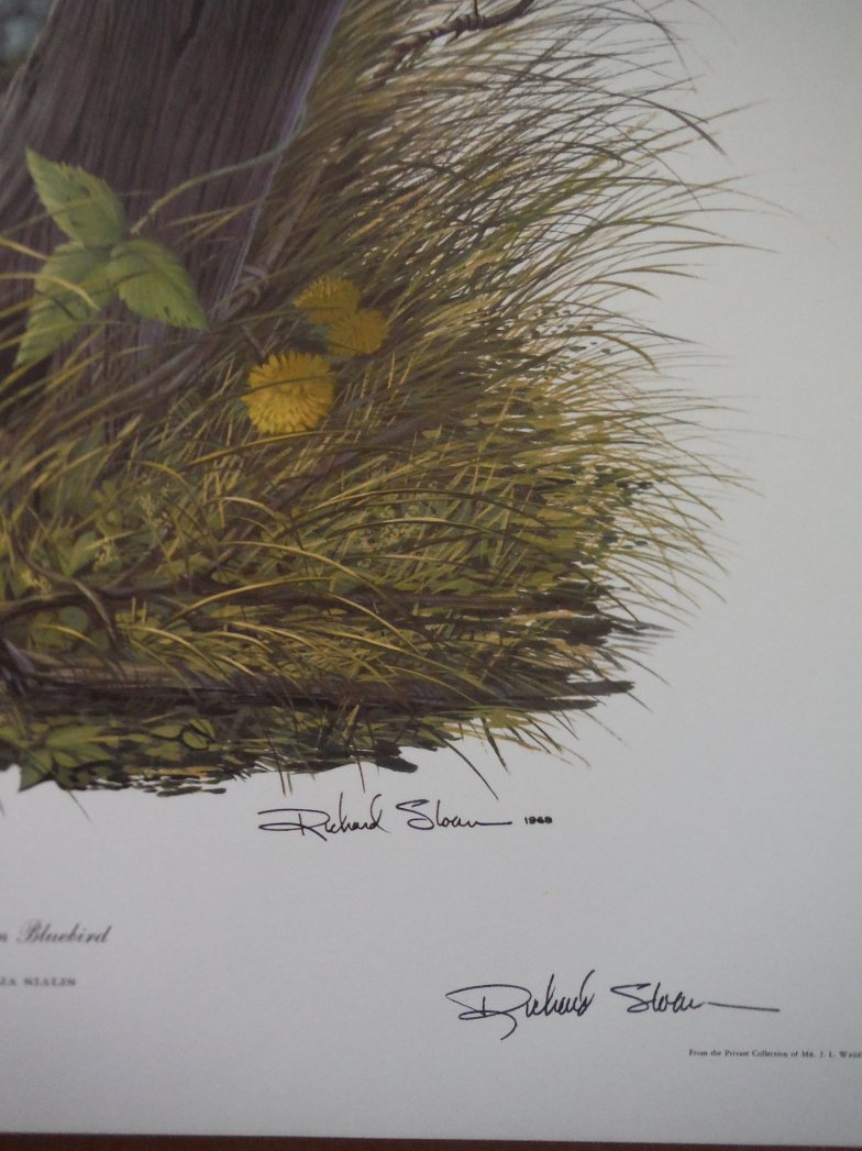 Image 1 of Taming Our Forests, 1939, 87 pages with illustration.