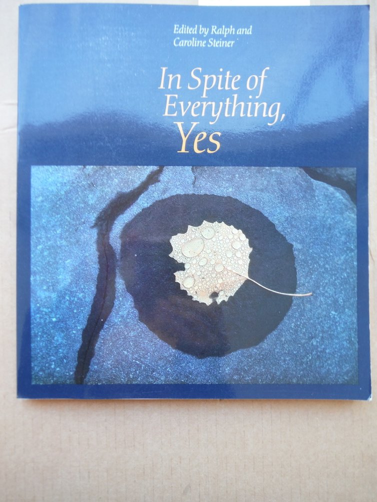 Image 0 of In Spite of Everything, Yes (Spring Industries Series on the Art of Photography)