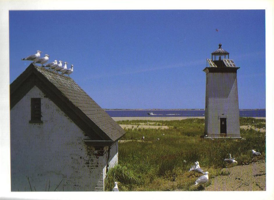 Long Point Lighthouse Massachussetts Postcard 