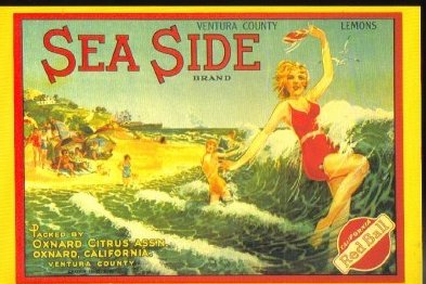 California Citrus Growers Sea Side Postcard C. 1930