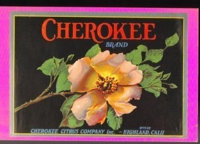 California Citrus Growers Cherokee Postcard C. 1930