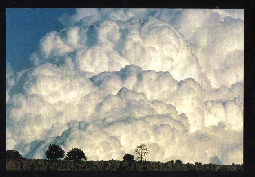 Cauliflower Clouds Weather Phenomenon Postcard