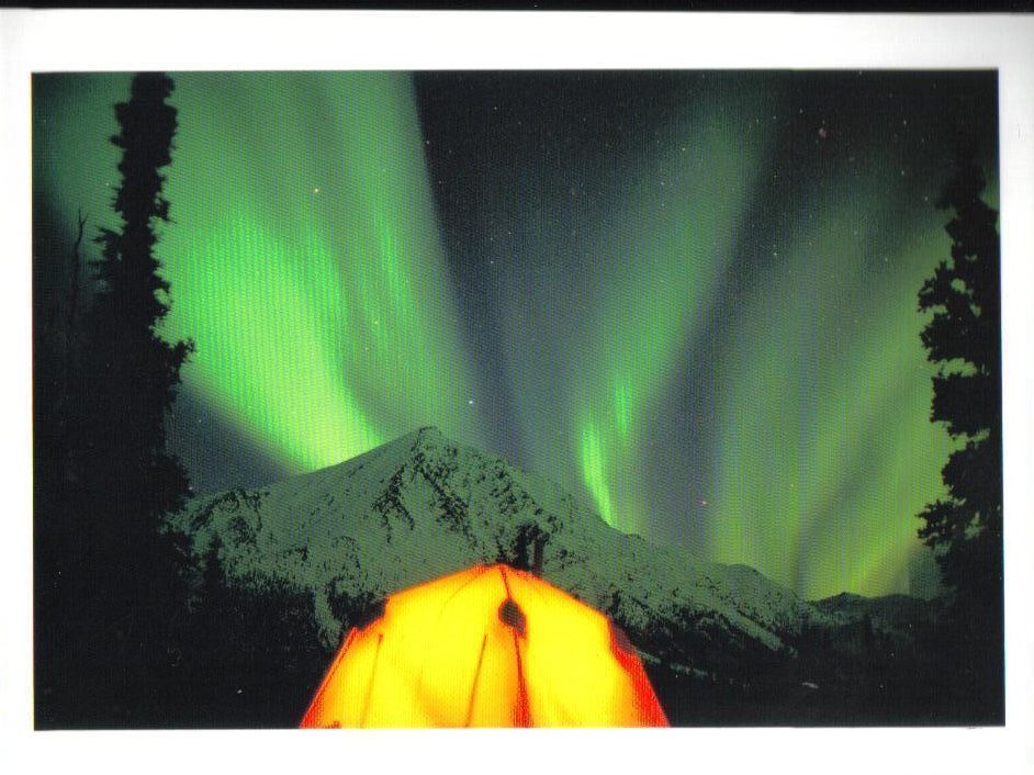 Northern Lights  Alaska Picture Postcard Uncirculated