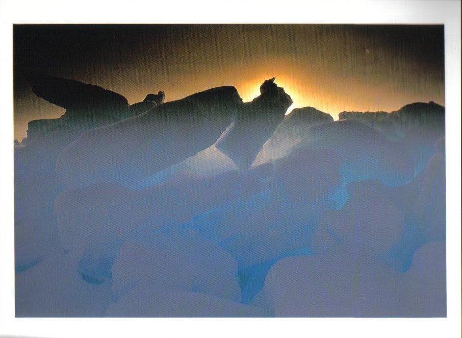 Evening Sun Barrow Alaska Postcard 