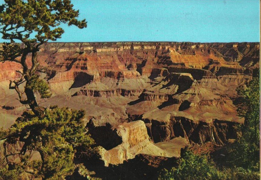 Grand Canyon Arizona Postcard 