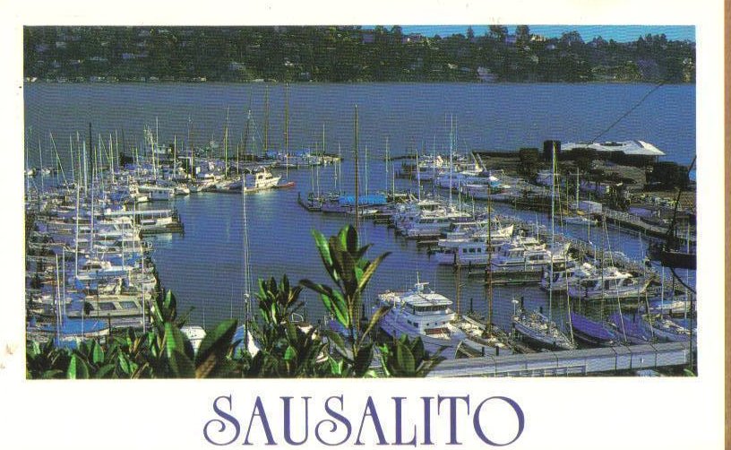 Sausalito Marina, California Coast Postcard 