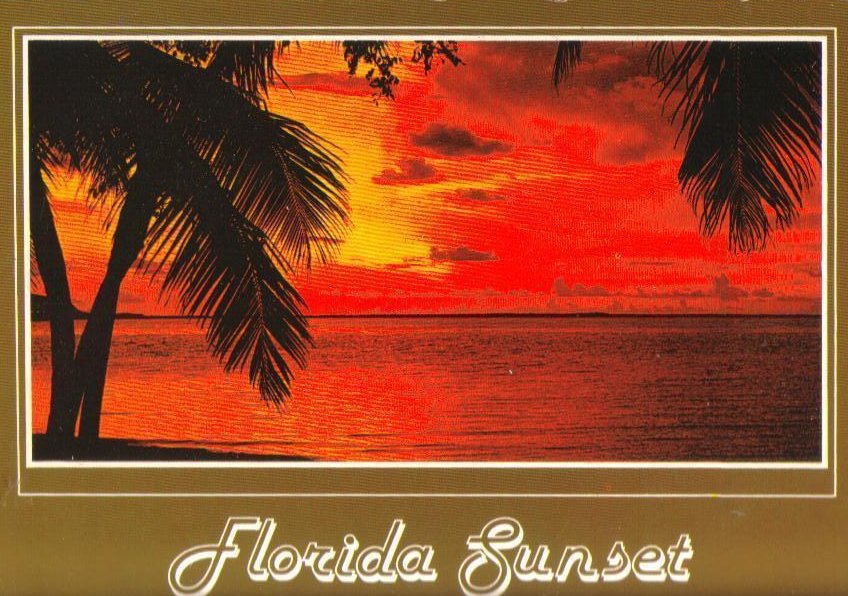 Florida Sunset Vintage Postcard