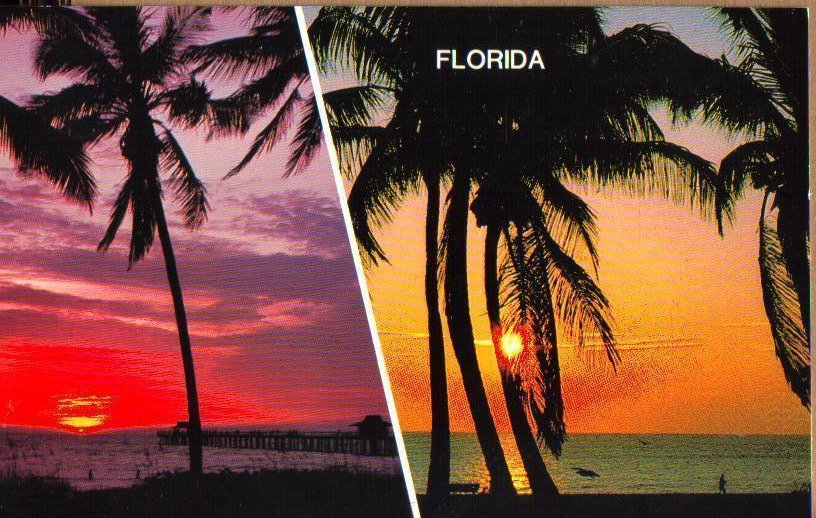 Sunrise Sunset in Florida Vintage Day and Night Postcard