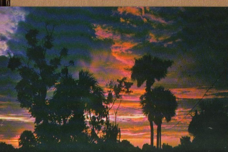 Start of a New Day, Sunrise in Florida Vintage Scenic Postcard