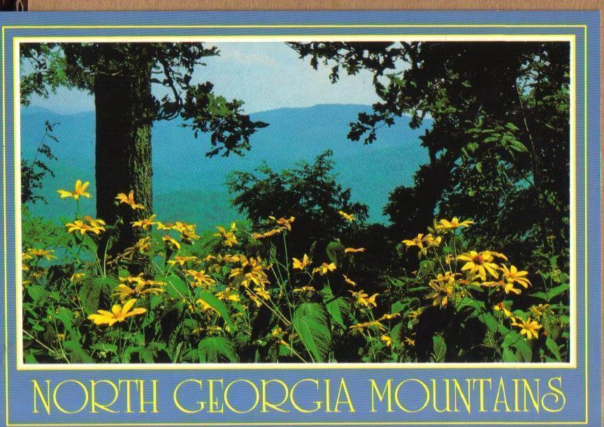 North Georgia Mountains Postcard