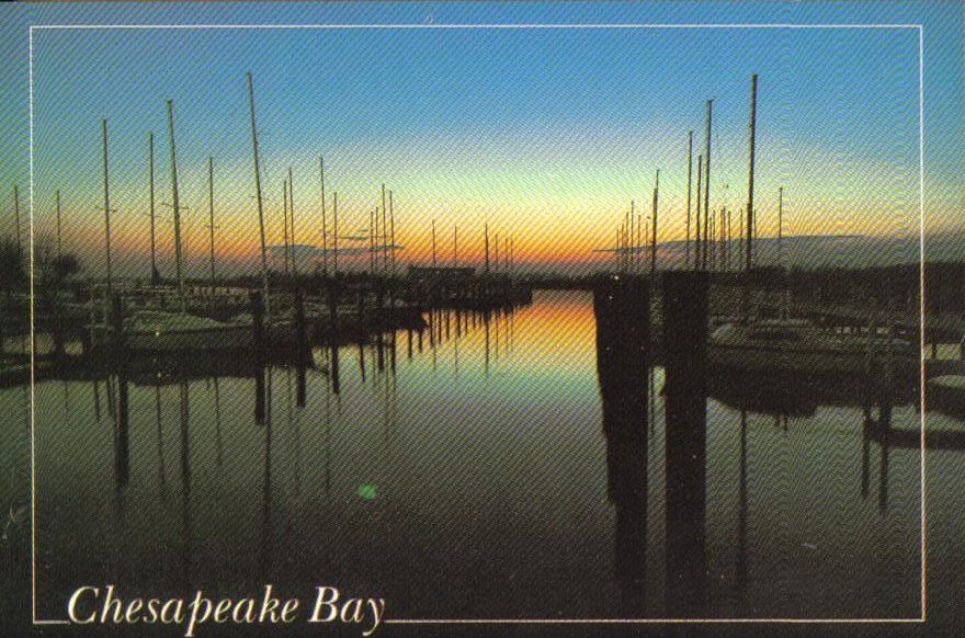 Chesapeake Bay, America's great inland sea, Maryland Postcard