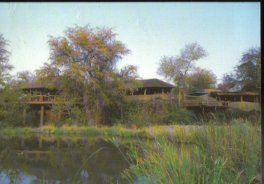 Mashatu Nature Preserve Africa Vintage Postcard 