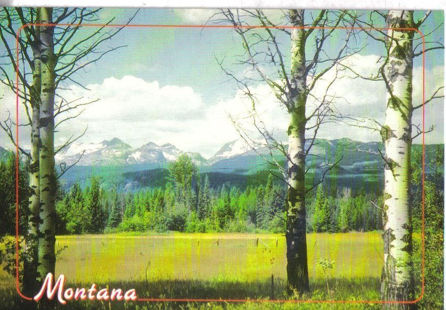 Big Sky Country, Montana Postcard Green fields and Rocky Mountains