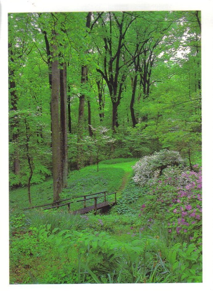 Brooklandville, Maryland Postcard