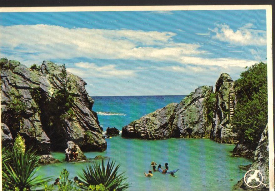 Bermuda Jobsons Cove Vintage Postcard