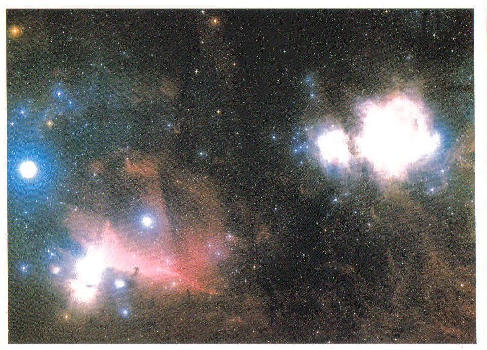 Between the Orion and Horsehead Nebula Universe Postcard