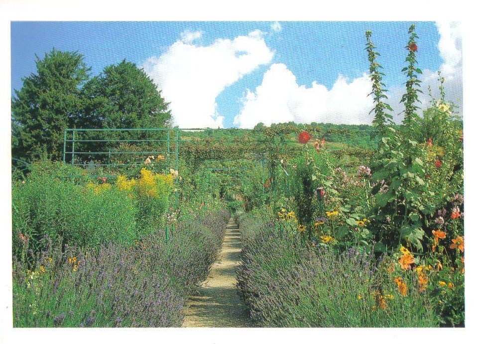 Monet's Gardens Series English Lavender Postcard