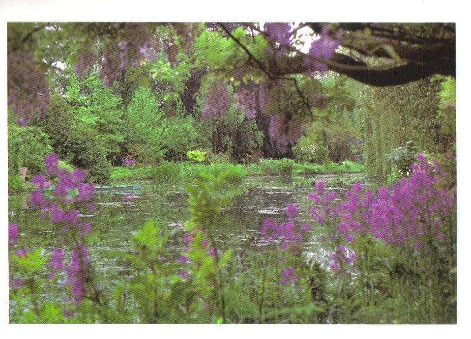 Monet's Gardens Series, Water Garden Postcard