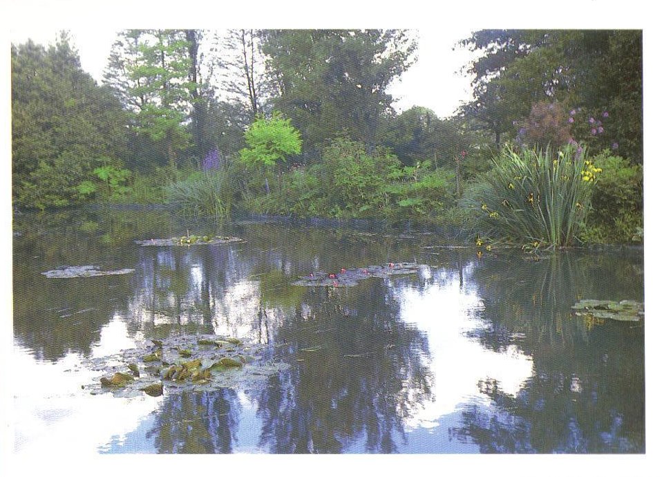 Monet's Gardens Series, Waterlily Garden, Postcard