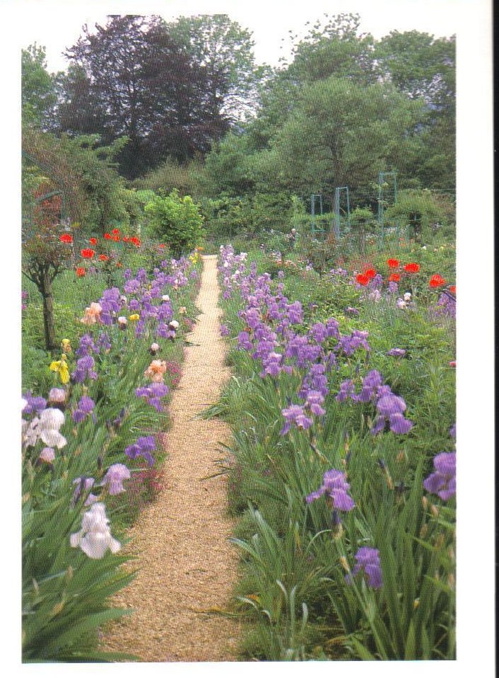 Monets Gardens Series Purple Iris Postcard