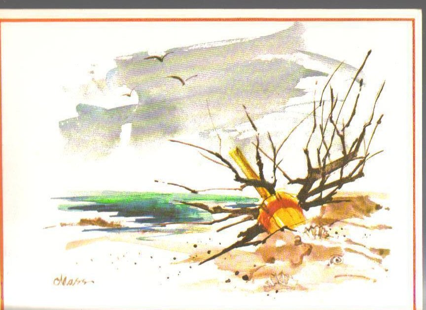 Driftwood on a beach Art Print Postcard