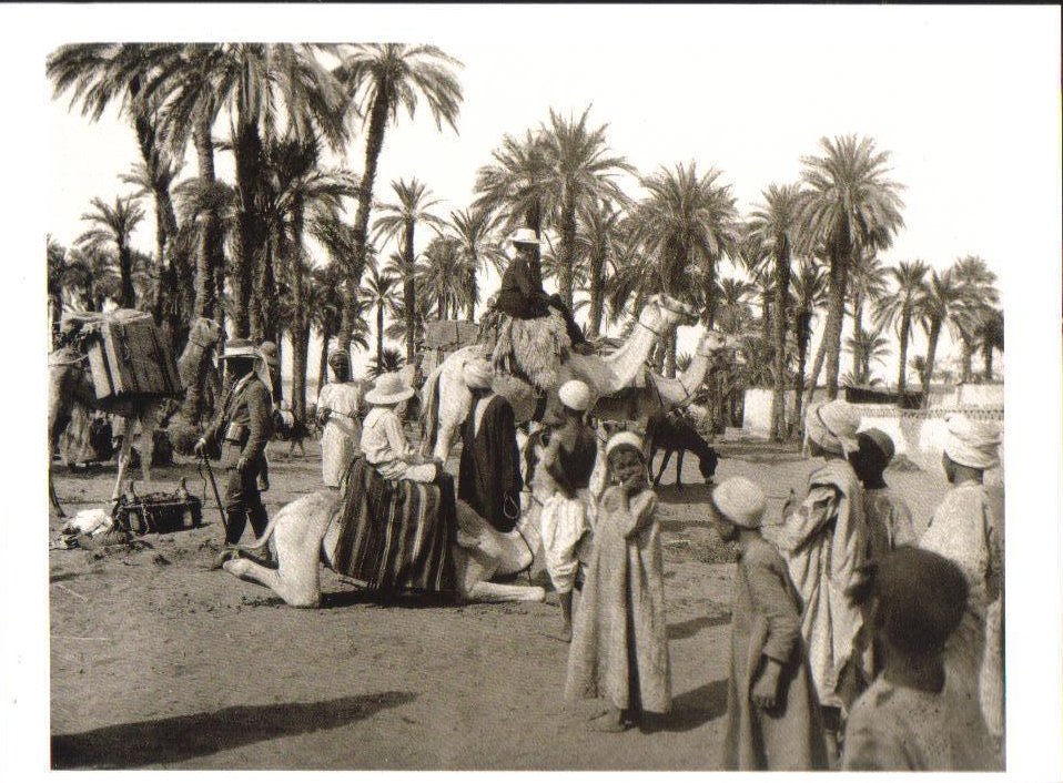 Caravan leaving Amara, Nubia, Sudan Postcard