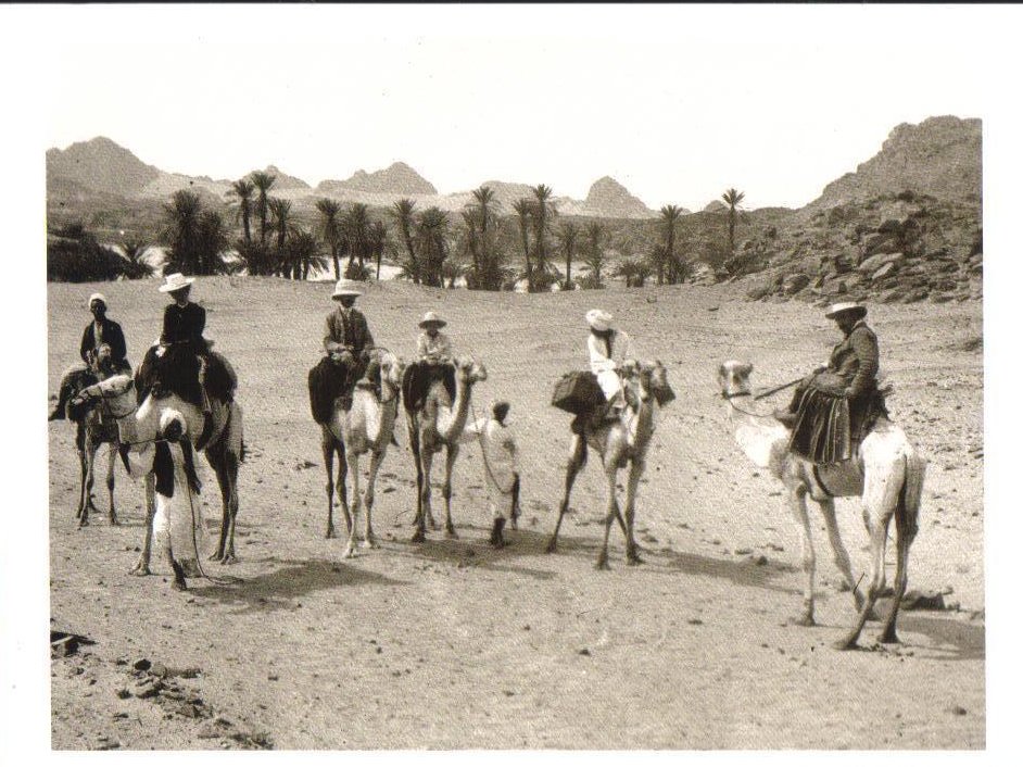 Caravan Near the Second Cataract, Kolba, Sudan Postcard