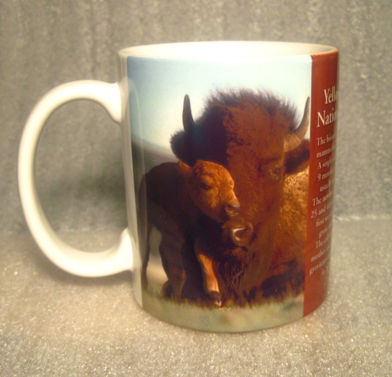 Yellowstone National Park Bison Mother and Child Coffee Cup Mug