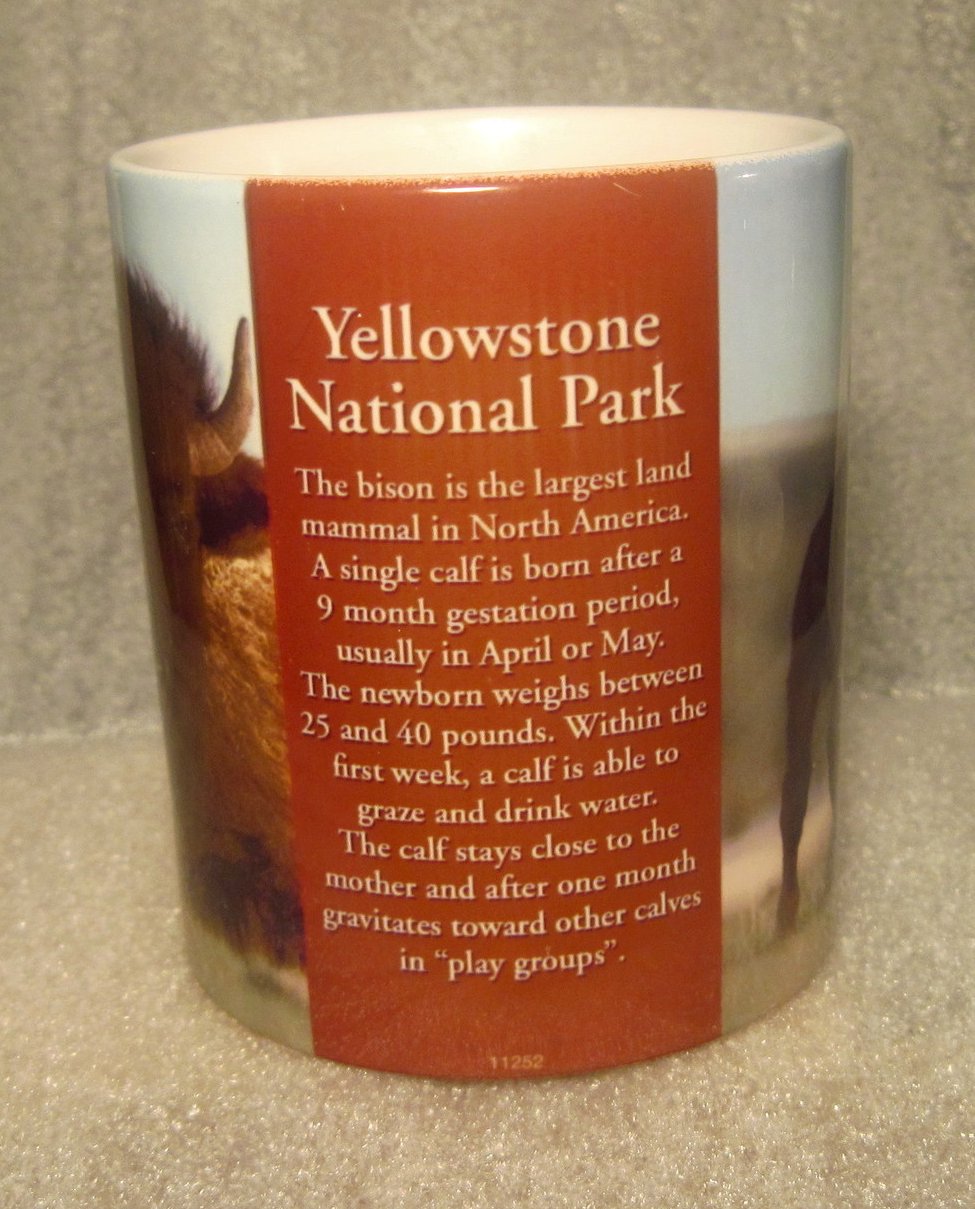 Yellowstone National Park Bison Mother and Child Coffee Cup Mug