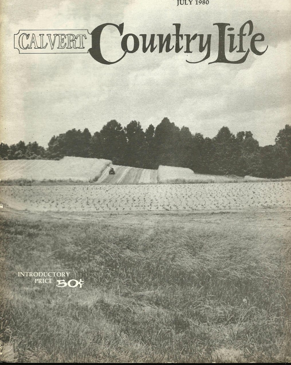 What's a magazine worth? Country Life