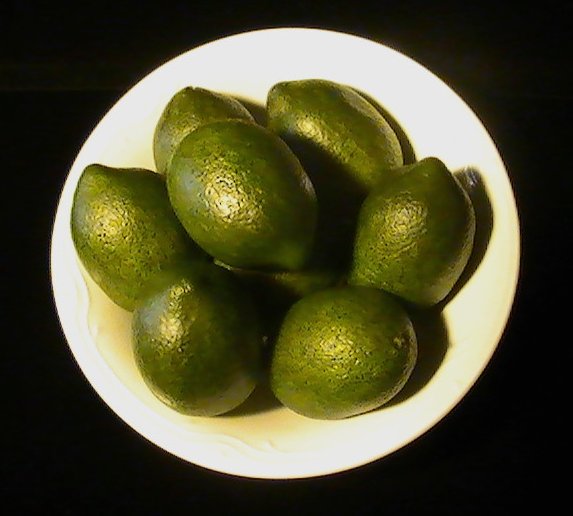 '.Artificial Limes Display.'