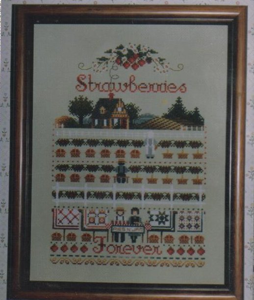 Strawberries Needlepoint Pattern New Crafts 8 X 11 inches