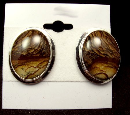 Image 0 of Gene & Martha Jackson Navajo Jasper Silver Post Earrings