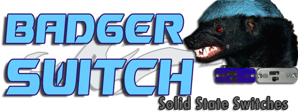 Image 1 of Badger Switch Slider Silver